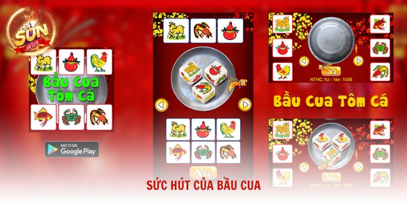 Sức hút của Bầu Cua