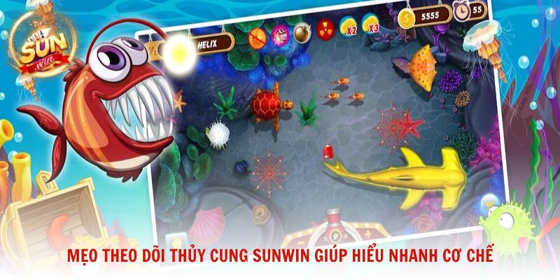 Mẹo theo dõi Thủy Cung Sunwin giúp người mới hiểu nhanh cơ chế trò chơi